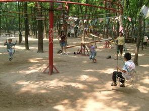 黄河公园爆料视频播放,揭秘公园美景与神秘事件  第3张